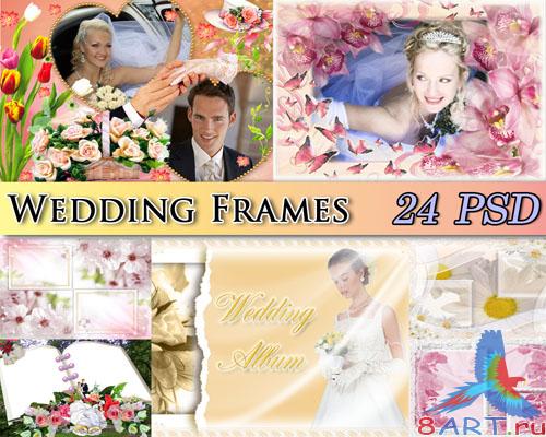 ������� � ����� ���� ����������  ������� (24 PSD)