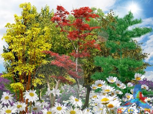 PSD ������� - ������ ������