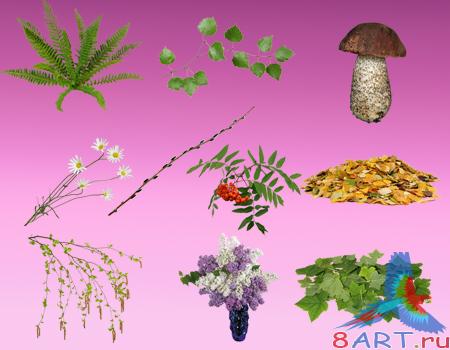 ����� � ��������� ����������� �������� �1