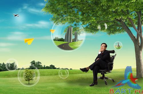 Sources - Forest Glade