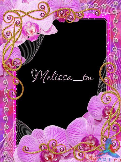 ����� ��������� ���������� �������