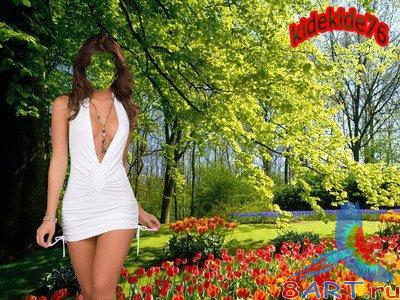 ������ �� �������� - ������� �����