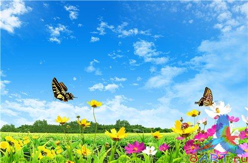 PSD - Field with Yellow Flowers and Butterflies