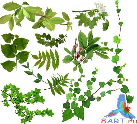 PSD ��������� - ������ �������