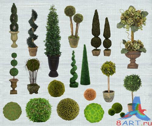 PSD Clipart - Topiary