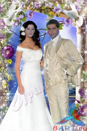 ������ ������ � ������� - ���� �����