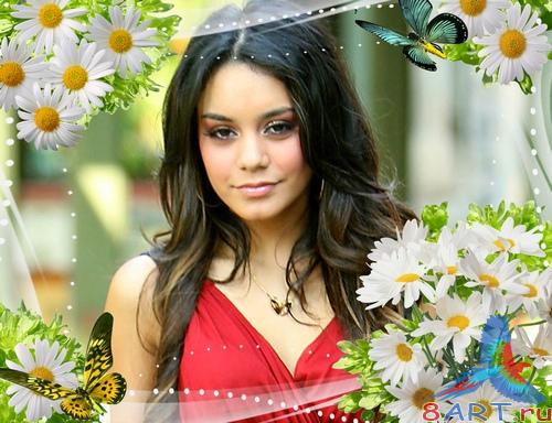 Яркая рамочка к оформления фото от ромашками Яркая рамочка к оформления фото от ромашками