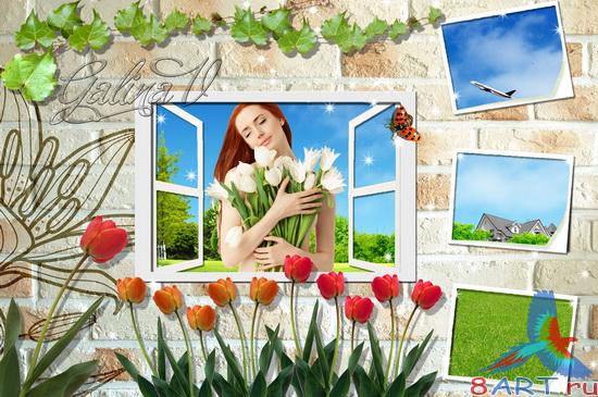 ����� � ����� ���� ���� - �������������