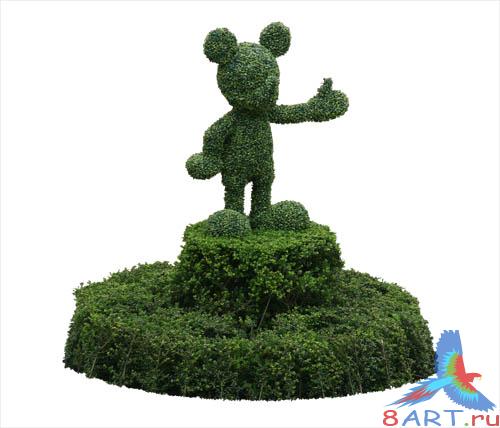 PSD Templates -  Flowers and Plants