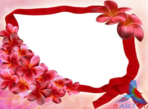 ��������� ����� � ����� ���� ���� 2