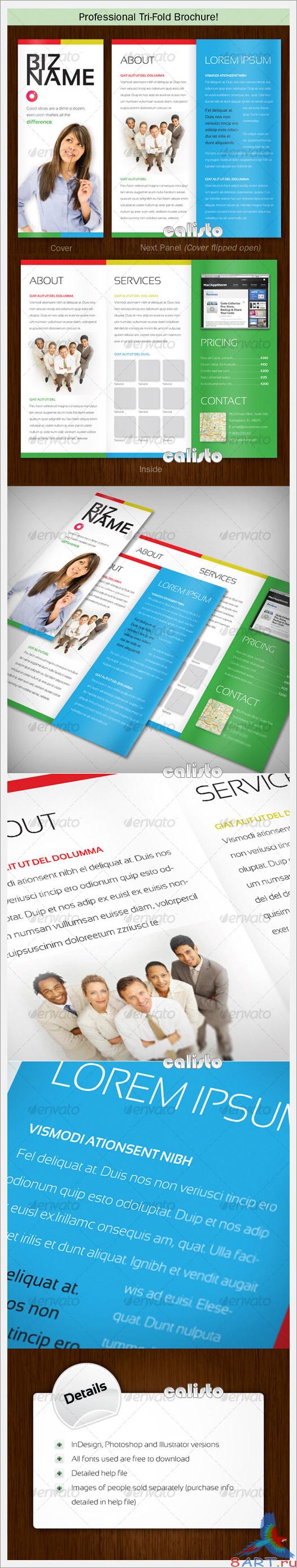 Tri Fold Brochure - GraphicRiver