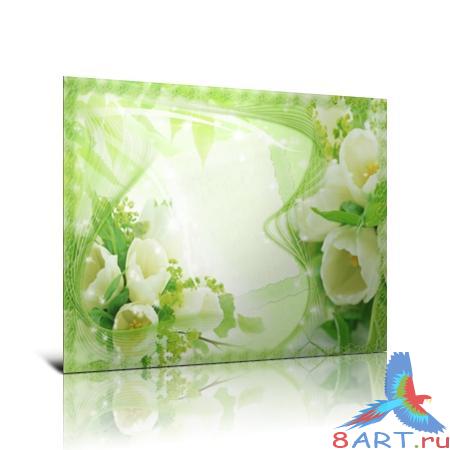 ������������� ������ �����