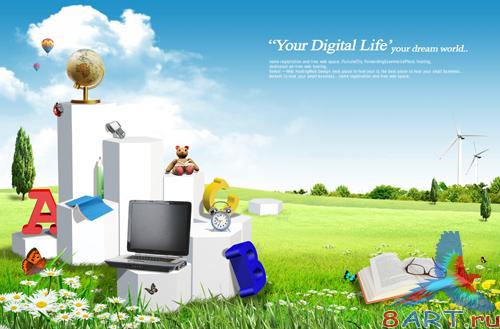 Sources - Favorite Toys