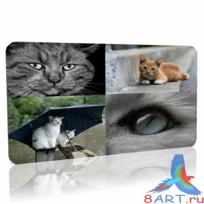 Кошечки в работник стол. книга 3 Кошечки в работник стол. книга 3