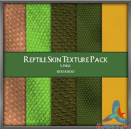 �������� �� �������� - ���� ��������