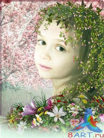 ������� ������ ����� ���� - �����