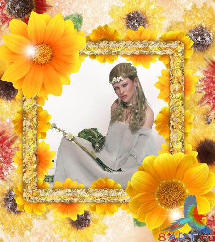 ����� �� ���� - �����