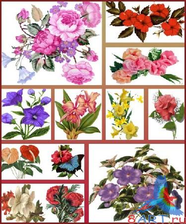 ����� ������