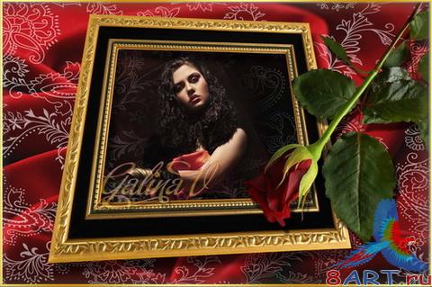 ����� ����� ���� - ������