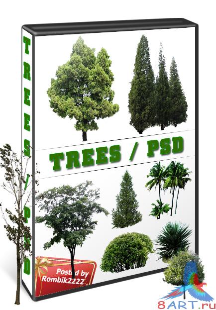 Green trees / Psd
