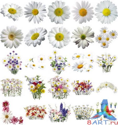 ������� ���� ����������� � ������� Photoshop - �������