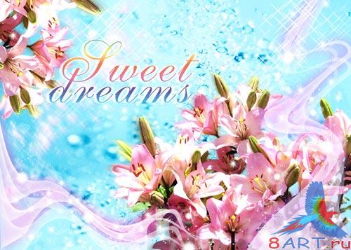 PSD ��������� - ��������� �����