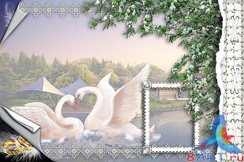 ��������� ���������� "�����"