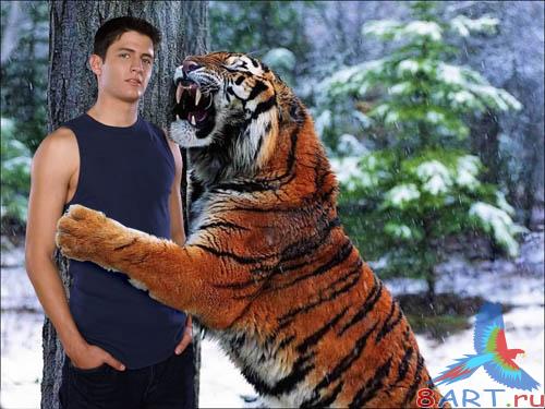 Рамка в интересах фото - на объятиях тигра Рамка к фото - в течение объятиях тигра