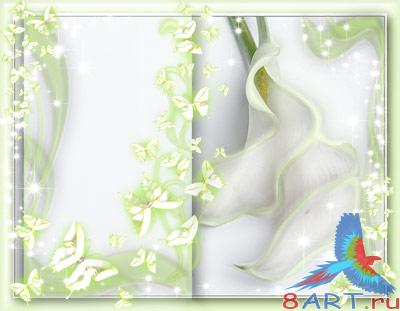 ������������� ������ (�.20)