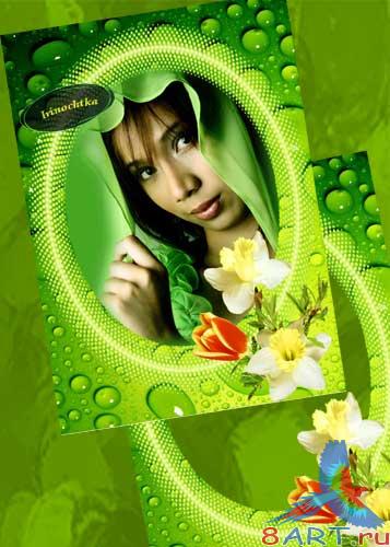 Зелёная весенняя рамочка. Зелёная весенняя рамочка.