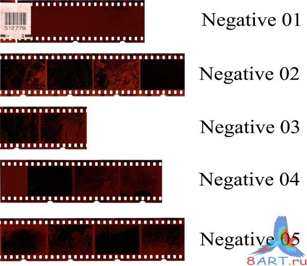 Negative -  (   Photoshop)