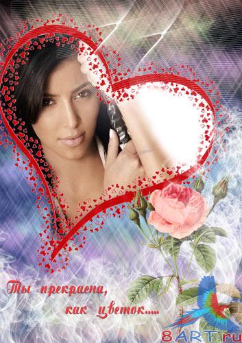 ����� � ������ ���� ���� - ���� � ������� ����