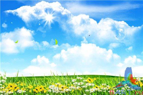 PSD - Flowers Field in Summer