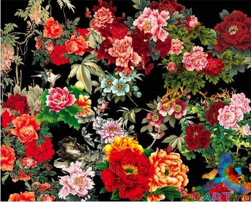    psd / Bunches of flowers in psd