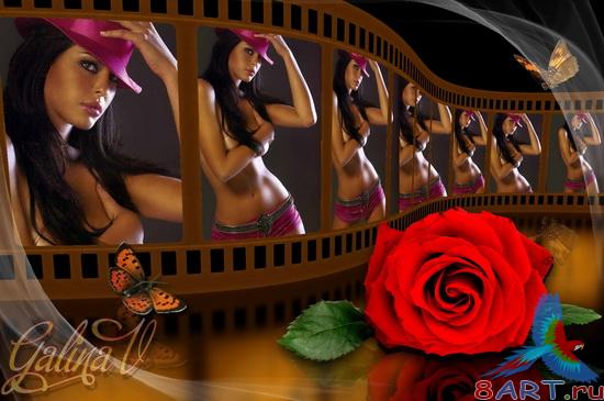 ��������� ����� ����� ���� - ��������� (1)