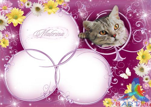 ����� � ������� - ������� �����