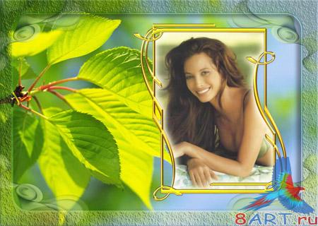 ��������� �� ��������