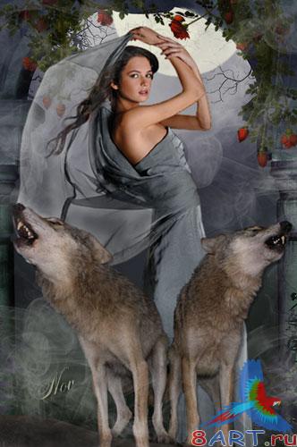 ������ � ������ ���� ���� - ������ ������