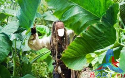 ������ � ����� ���� ������ ���������� ���� �16