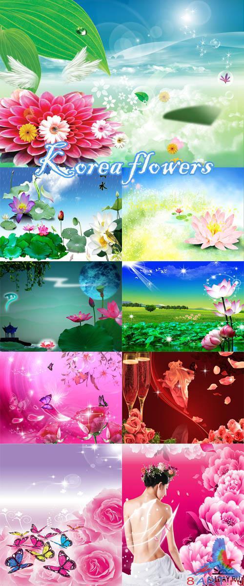 Korea Flowers PSD PACK