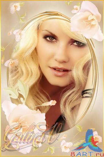 ������ ����� � ������ ���� ���� - �������