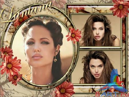 ����� � ������ ���� �������� - �������