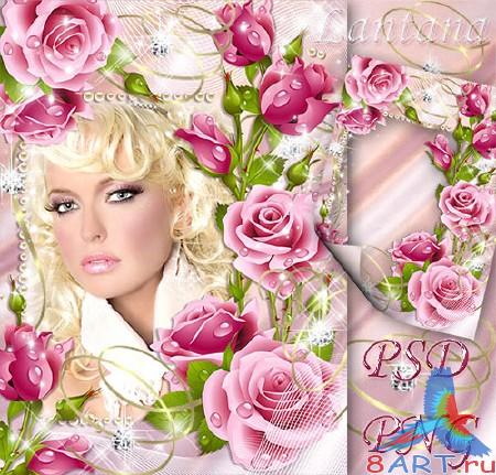 Рамка с целью фото - красный каскад Рамка с целью фото - красный каскад