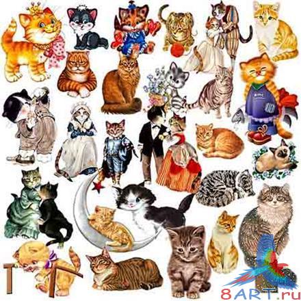 Clipart - so different cat