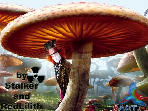 ������ � ��������� ����������� - �������