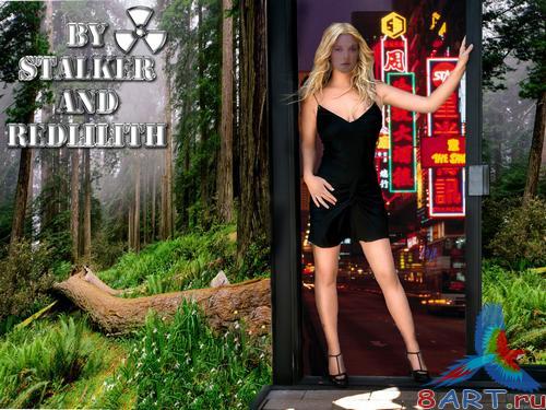 ������ ���� ����������� - ������� � ������