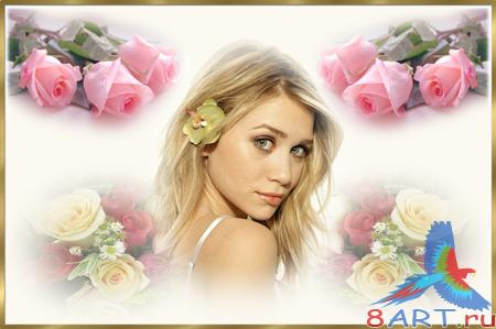 Рамочка в интересах фото - Нежные розы Рамочка в интересах фото - Нежные розы