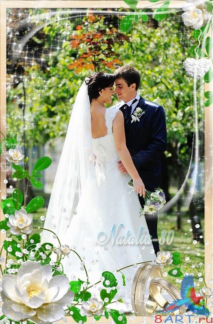 ������ ������� ����� ���������� ��������� ���� - �������� ����