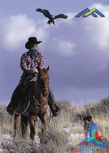 ������ � ��������� ������� - �������� ������