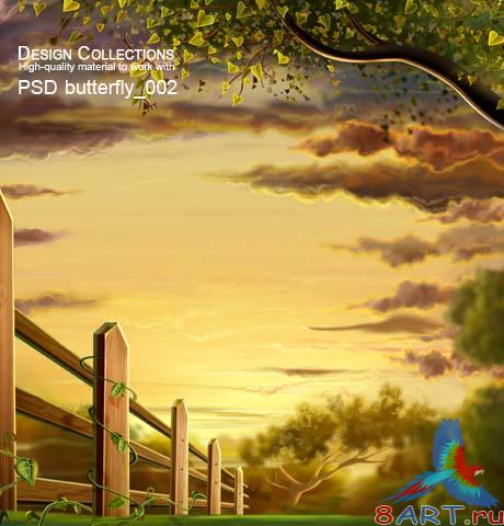 Butterfly PSD